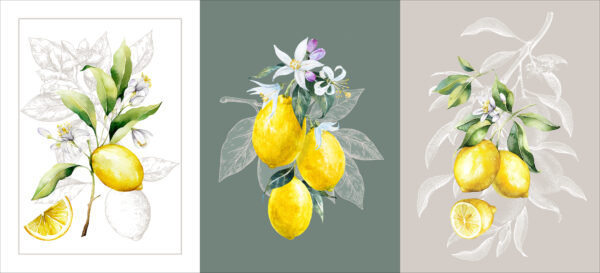 Torchon Lemon (lot de 3 assortis)