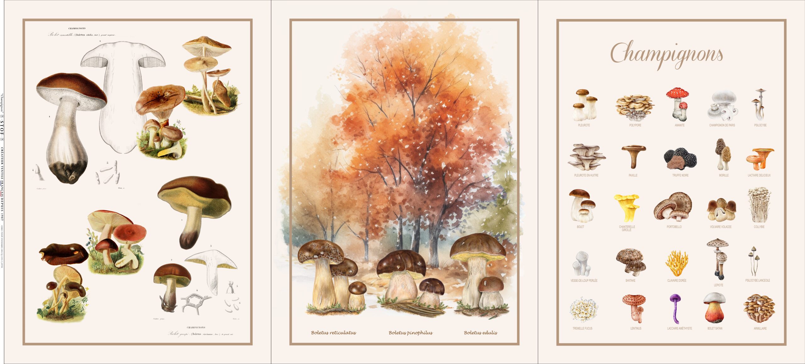 Torchon CHAMPIGNON (lot de 3 assortis)